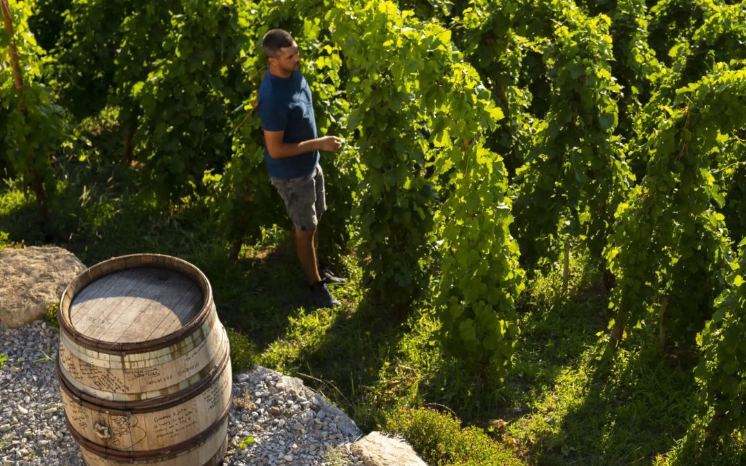 Eulalie & Chef Chip Smith host Graeme Bott, of Domaine Graeme & Julia Bott Wines