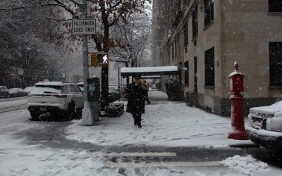 March…January and February a flurry!